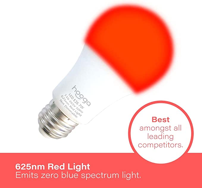 Hooga Sleep Light Bulb Sleep is a Skill